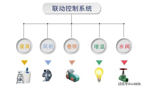 智慧农业新引擎 湖南温室大棚智能管理系统及其自动化集成服务解析